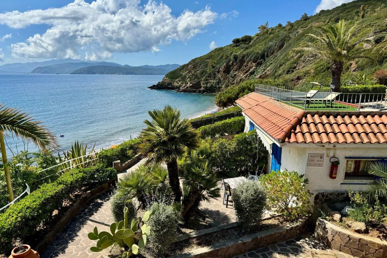 Vista mare con giardino e palme